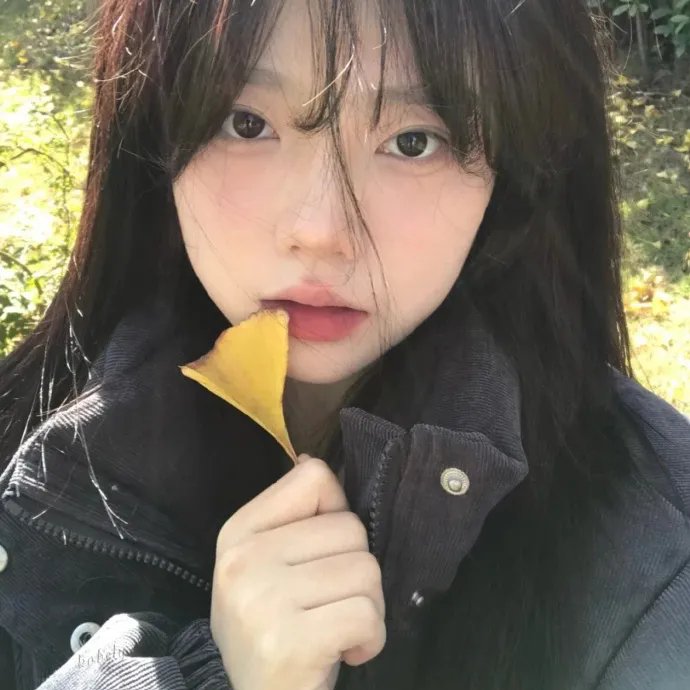 凤女龙驹